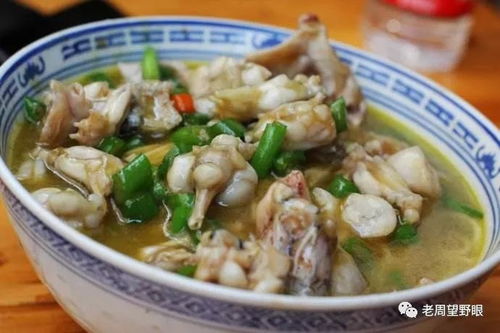 牛蛙不能吃 那卡斯特罗怎么办
