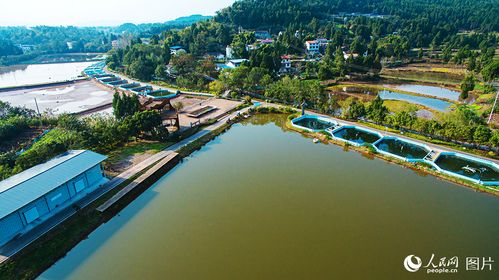 四川营山 专家助力水产养殖增收