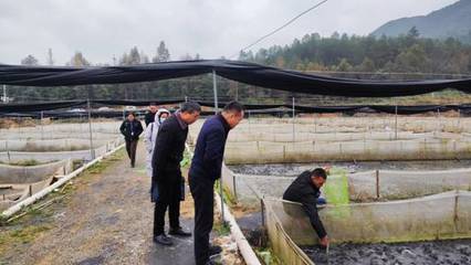 江西省农业农村厅农安局到我市开展2023年第四次省级农产品监督抽查工作