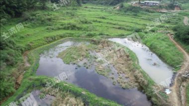 牛蛙养殖基地出租 牛蛙养殖基地 土流网