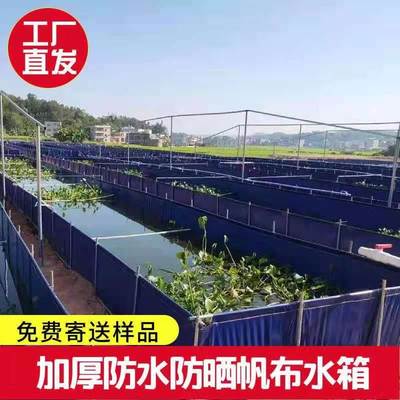 帆布鱼池养殖水池水蛭牛蛙泥鳅池