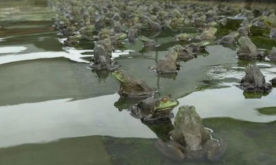 【大国小鲜@基层之治】万山:党建引领产业发展助跑乡村振兴