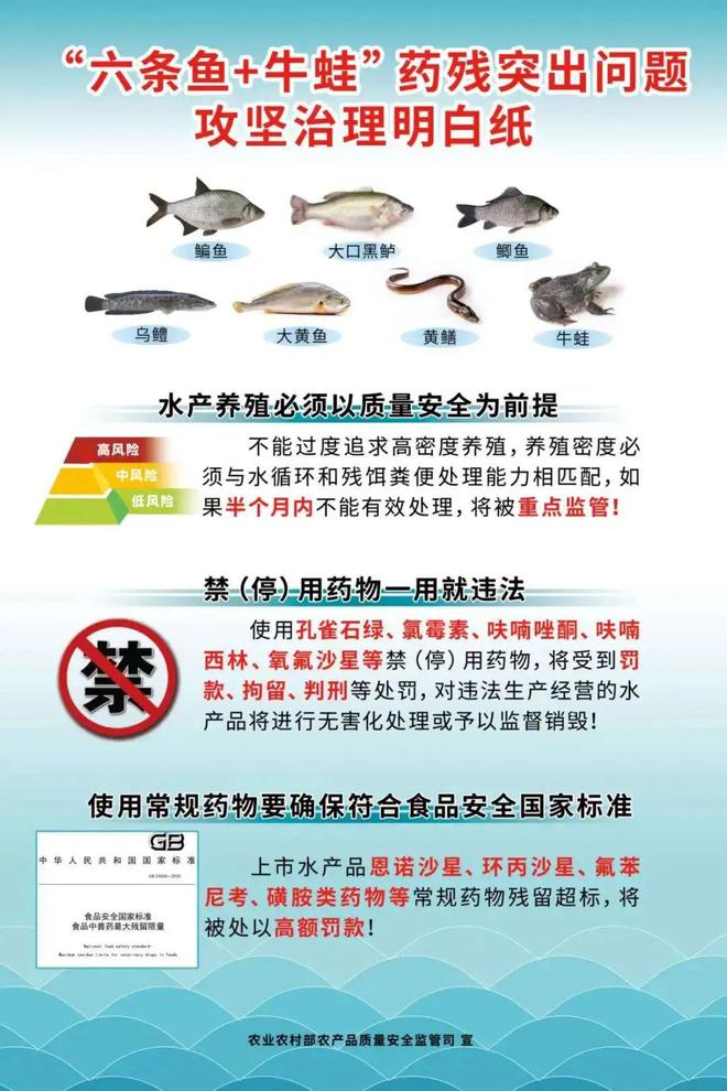 须提前报备,检测合格才能卖鱼!佛山生鱼、加州鲈养殖户注意了