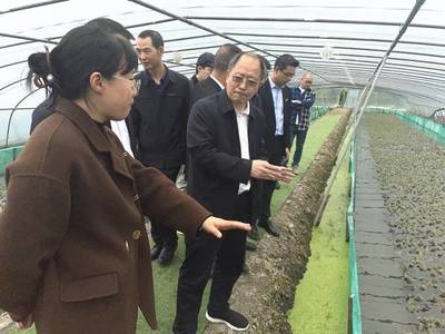 无抗牛蛙养殖项目引农业部关注!这个超3000亿元的大产业太火爆了
